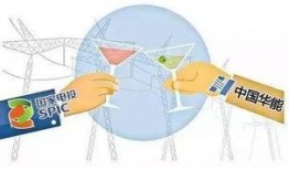 国家电投爆料新闻最新